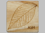 Ash Traditions and Folklore