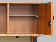 Two Locking Doors with Media Shelves