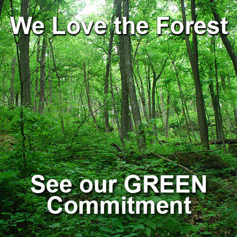 Caretta Workspace Green Commitment