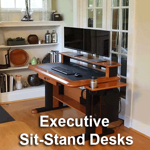 Executive Sit-Stand Desks