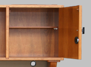 Two Locking Doors with Media Shelves